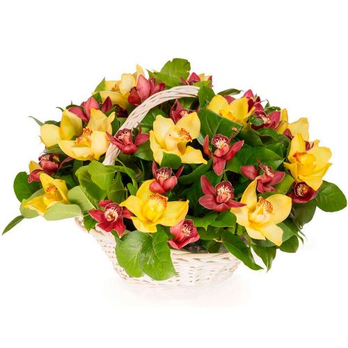 Цветочная композиция «Орхидейное великолепие»